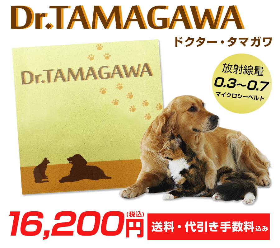 ドクター・タマガワ Dr.TAMAGAWA