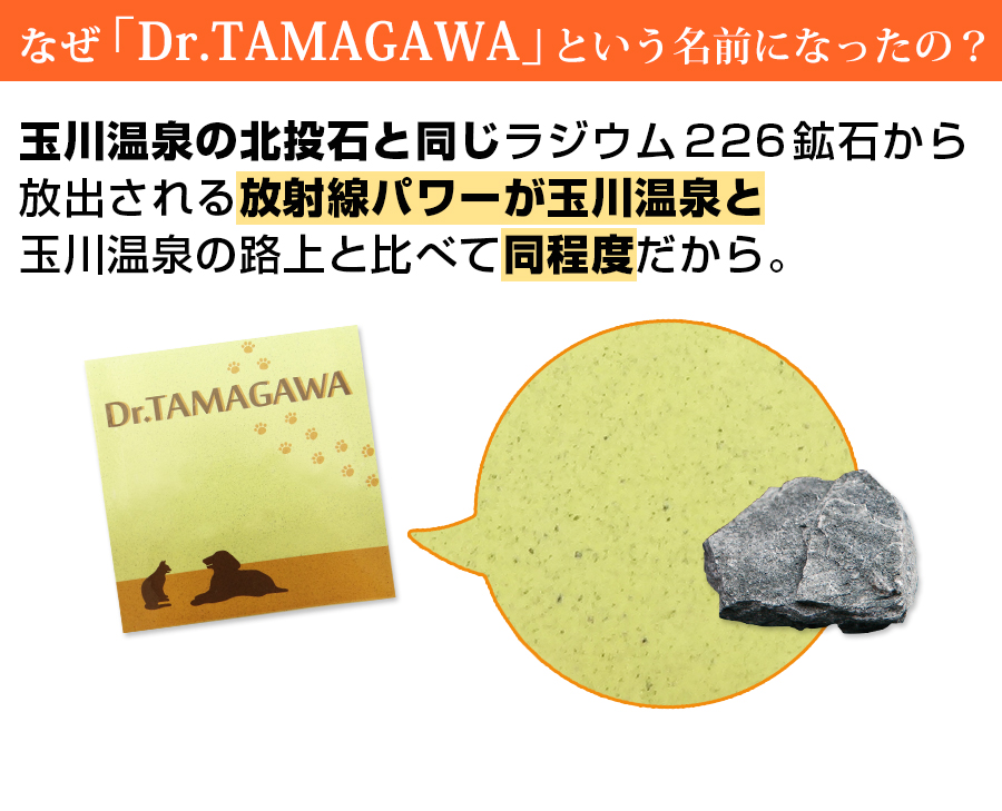 なぜ　ドクター・タマガワ Dr.TAMAGAWA　の名前になったか